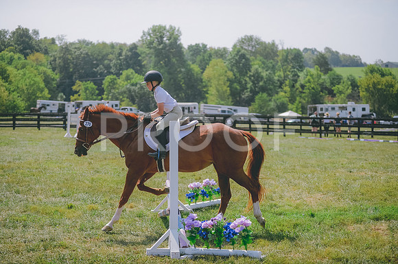 JJS_0252