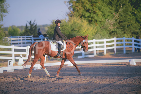 JJS_0180