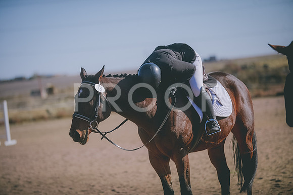 JJS_1593