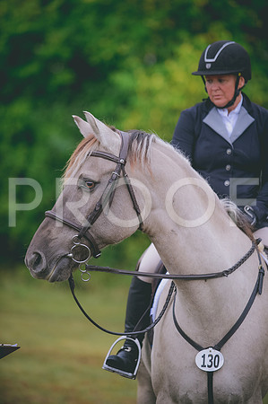 JJS_1179