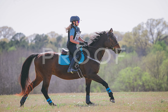 RWP_1478