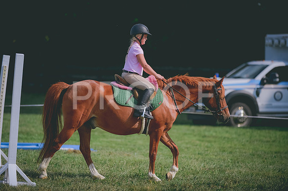 JJS_4118