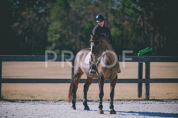 JJS_6916
