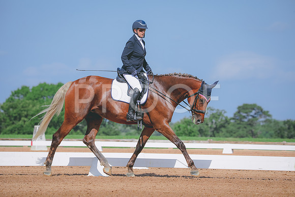RWP_4020