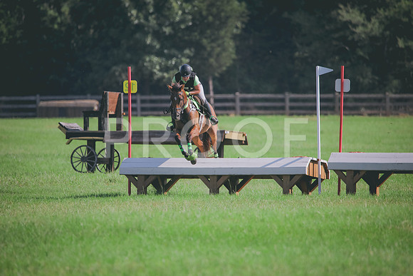 RWP_6314