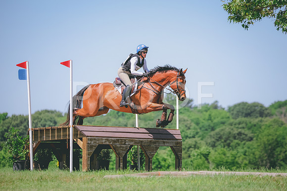 RWP_6527