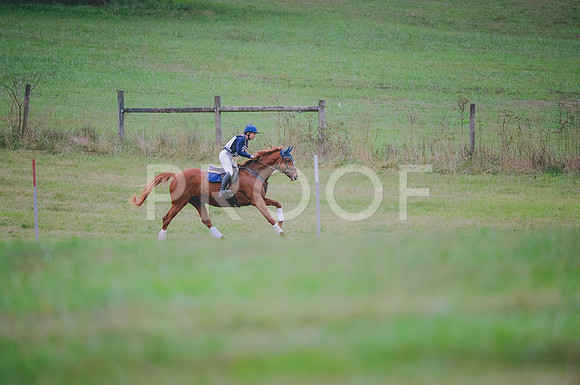 JJS_9941