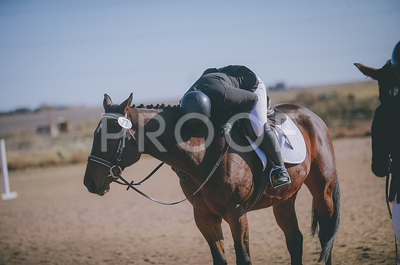 JJS_1591