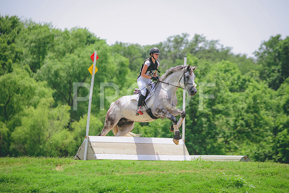 RWP_3387