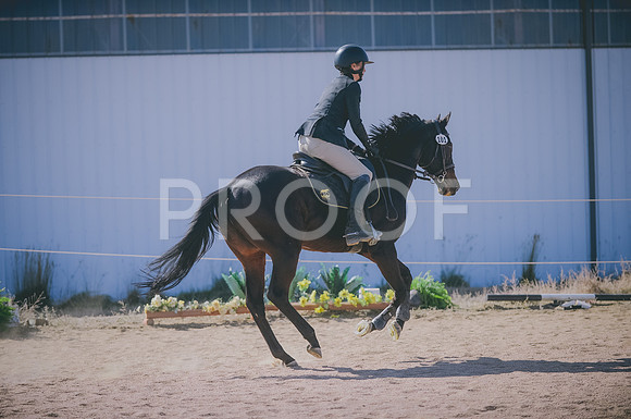 JJS_6831