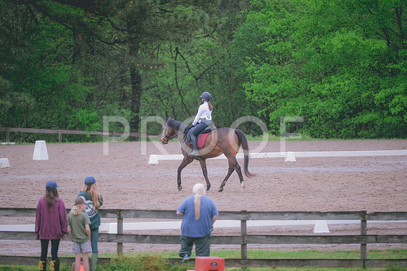 JJS_2495
