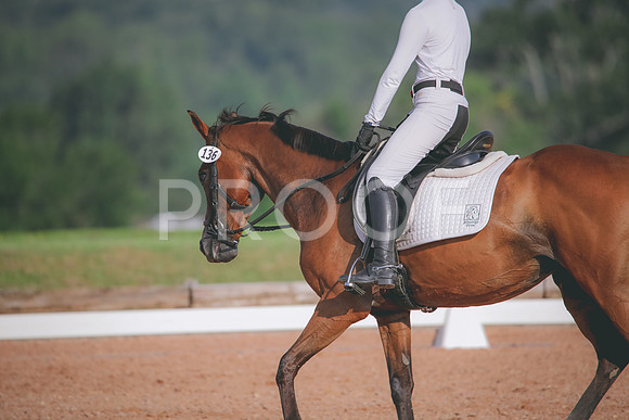 RWP_4466