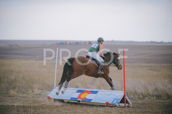JJS_5808