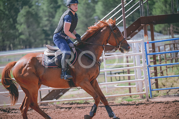 JJS_5395