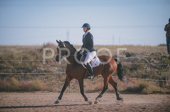 JJS_0078