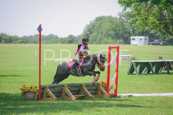 RWP_4319