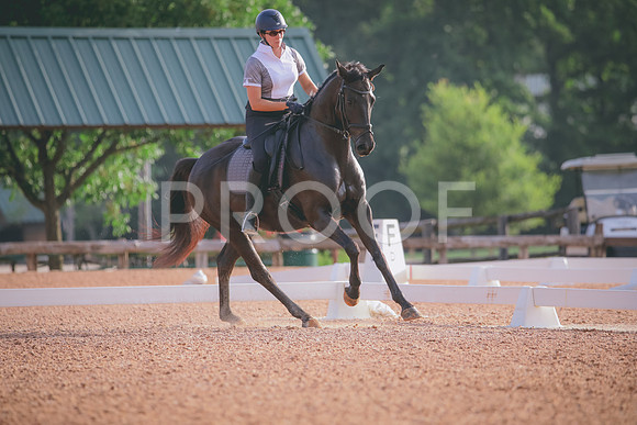 RWP_4250