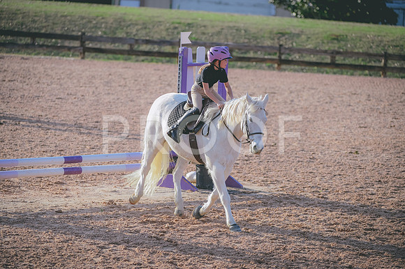 JJS_4376