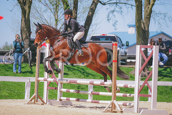 _C__2206 copy