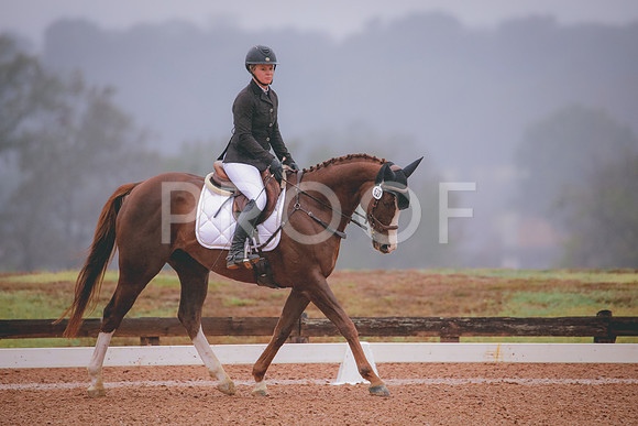 RWP_1023