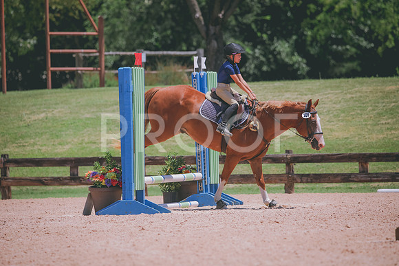 RWP_5907