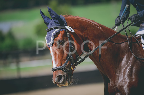 JJS_9917