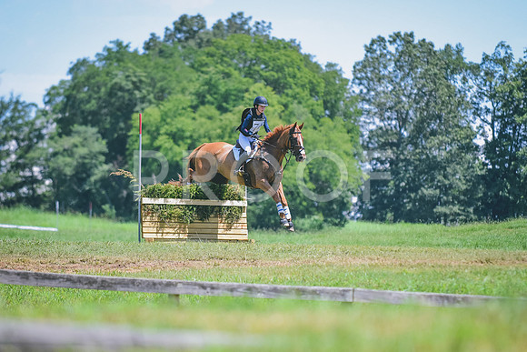 DSC_3923
