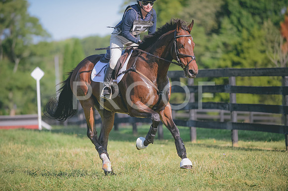 JJS_2731