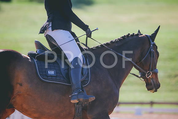 RWP_9293