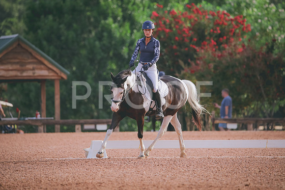 RWP_4217