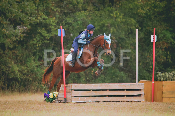 RWP_3618