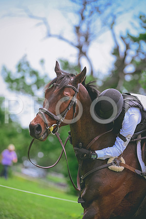 DSC_8228