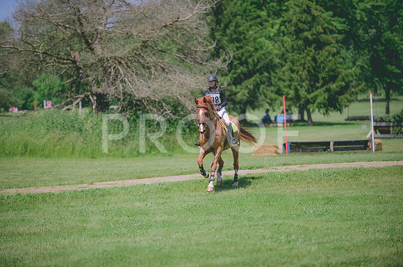 JJS_0971
