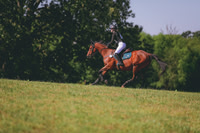 1V5A1585