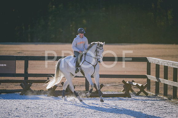 JJS_1768