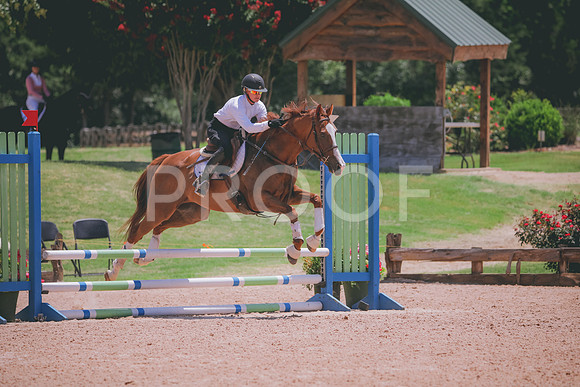 RWP_5606