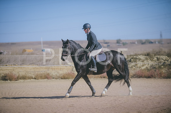 JJS_6253