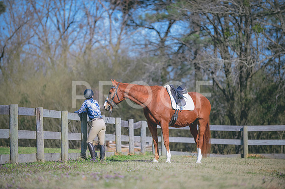 JJS_4191