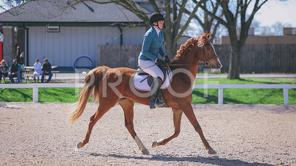 0N0A9887