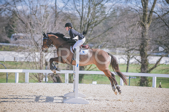 DSC_1121 copy