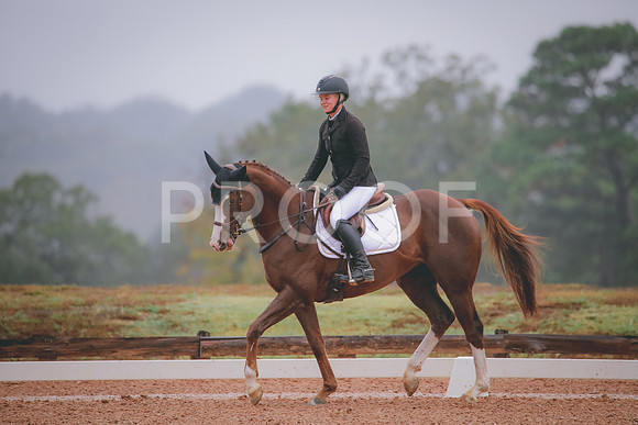 RWP_1032