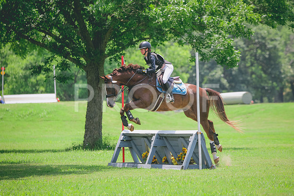 RWP_3290