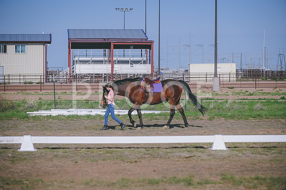 DSC_5571