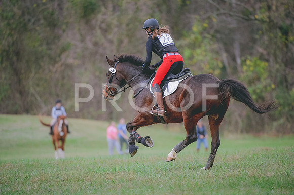 JJS_0374