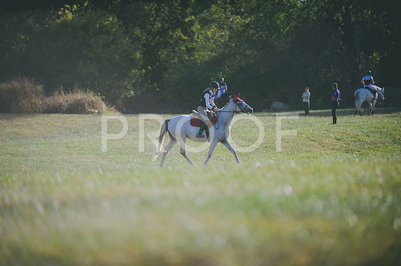 JJS_1366
