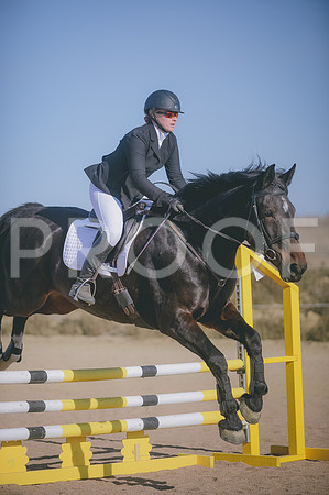 JJS_0833