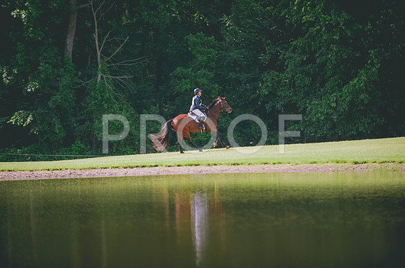 JJS_0890
