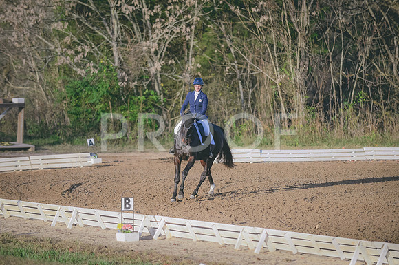 JJS_3168