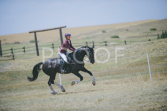 JJS_8627