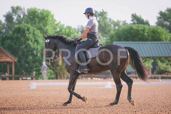 RWP_4244